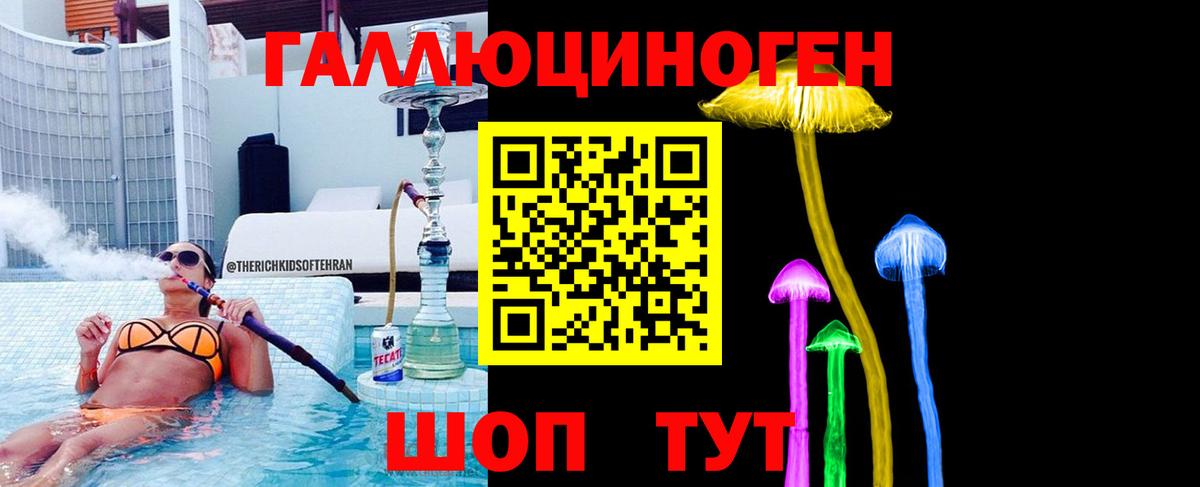 Калининград  Псилоцибиновые грибы Psilocybe  Вход с VPN 