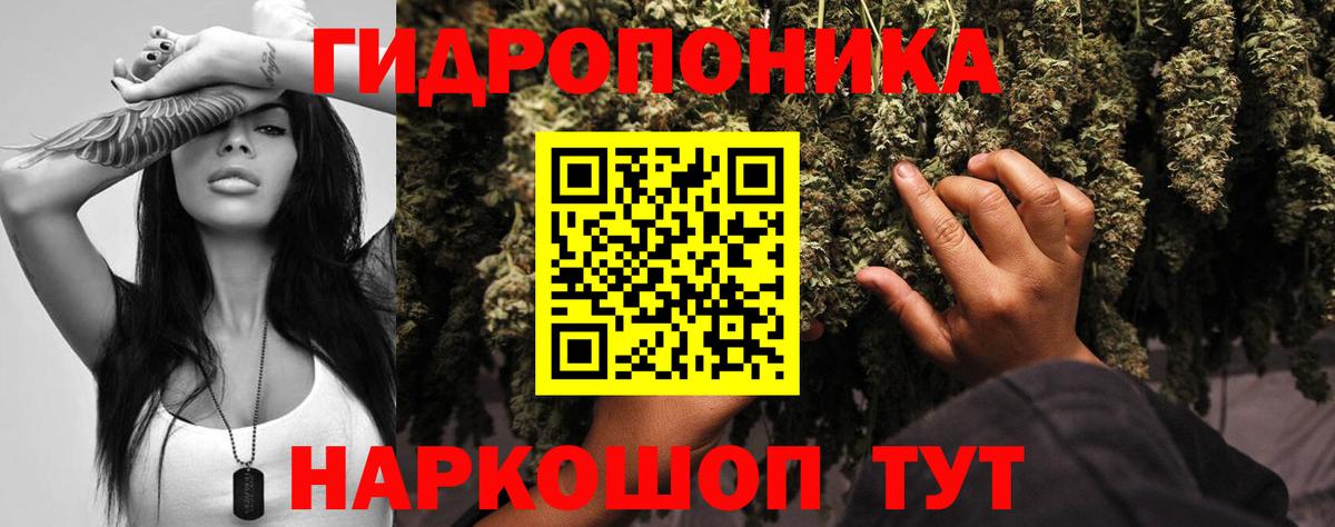 Шишки марихуана марихуана Калининград